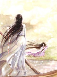 女律师的告白书