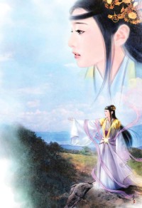 人皇圣宠：兽妃大大大（又名火凤涅槃之战兽）